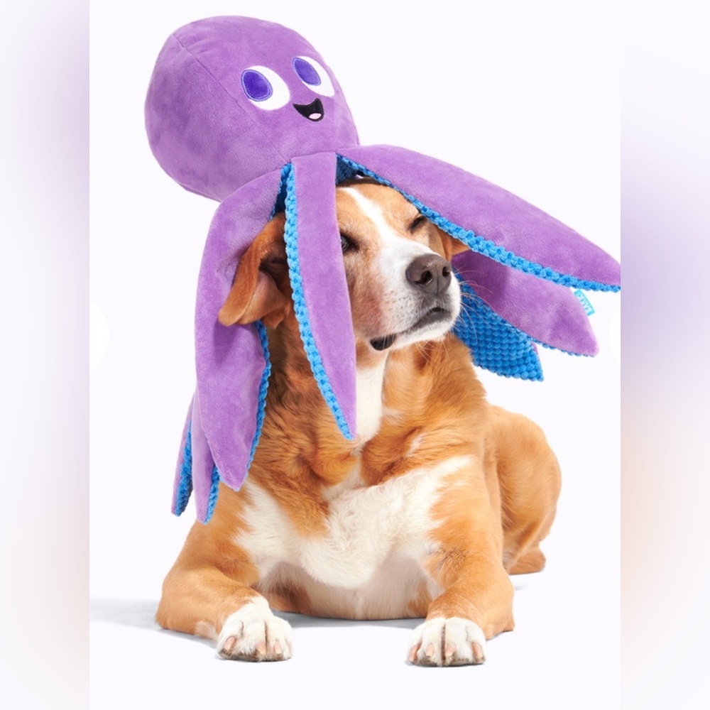 XL Bark Box " Mondo Ollie " Dog Toy GIANT XXL Purple & Blue Giant Octopus NEW